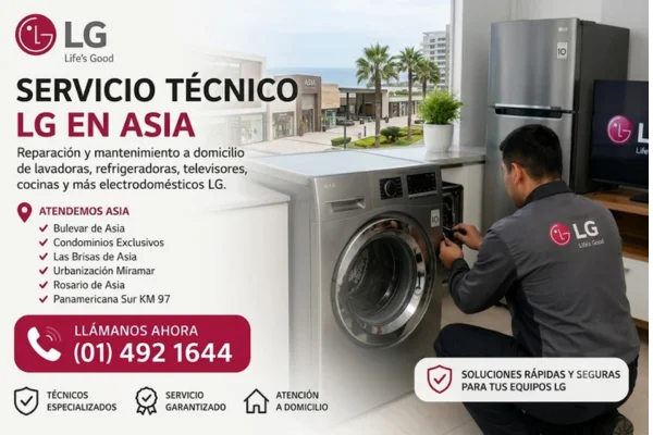 TECNICO LG EN ASIA