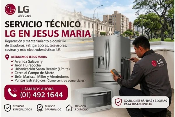 Técnico LG en Jesús María