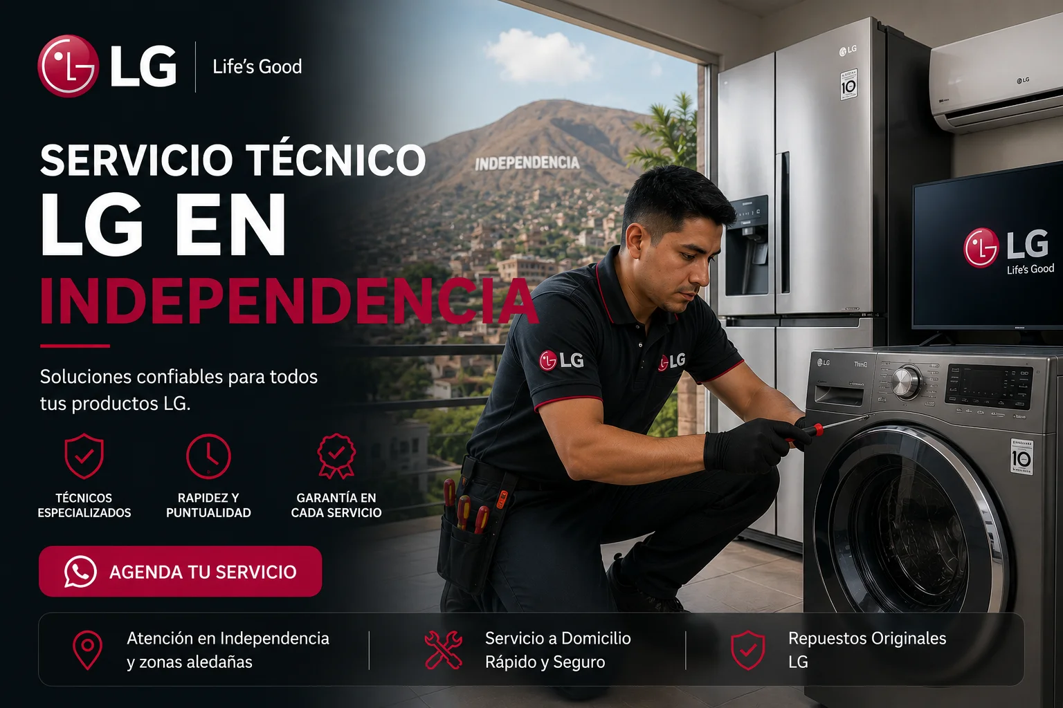 Tecnico LG Independencia