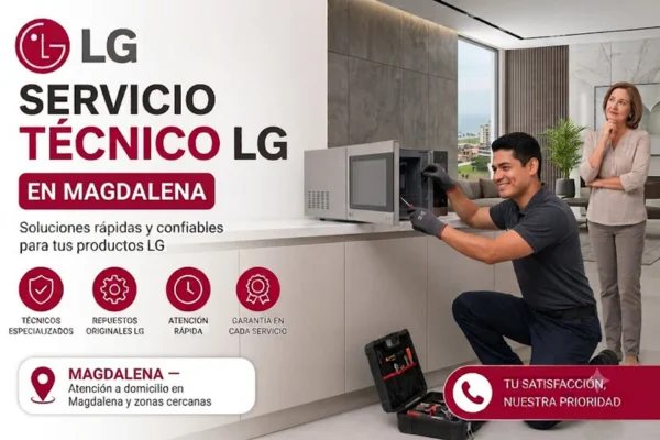 Tecnico LG en Magdalena